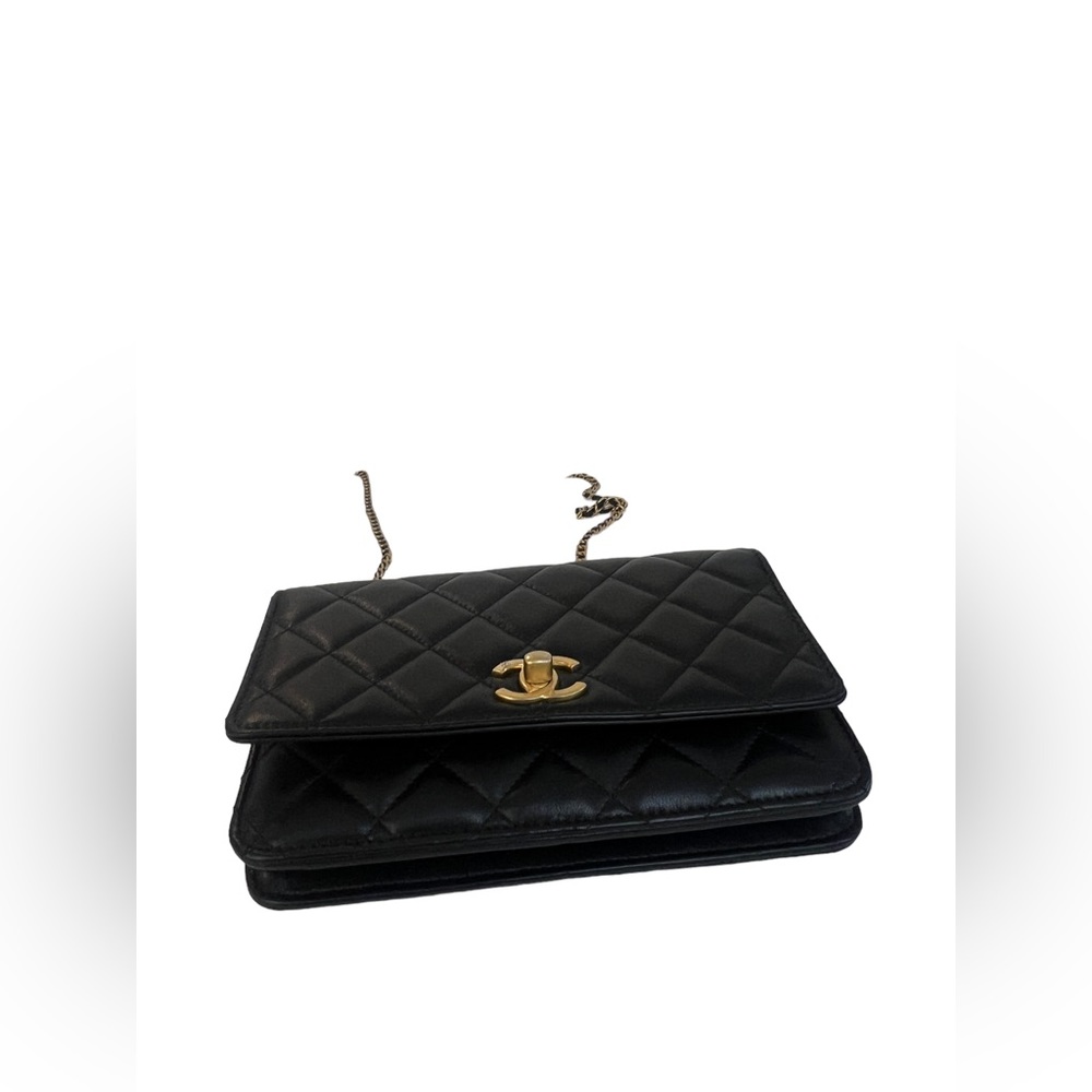 23A Chanel limited edition Leo wallet on chain - Picture 6 of 11